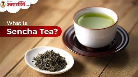 What is Sencha Tea Good For? Exploring the Mystical Brew That Might Just Brew Your Next Dream