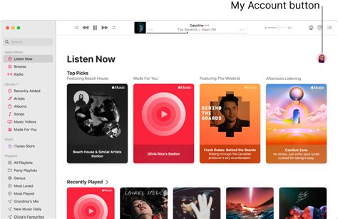 Where is the Account Menu on Apple Music: A Journey Through Digital Landscapes